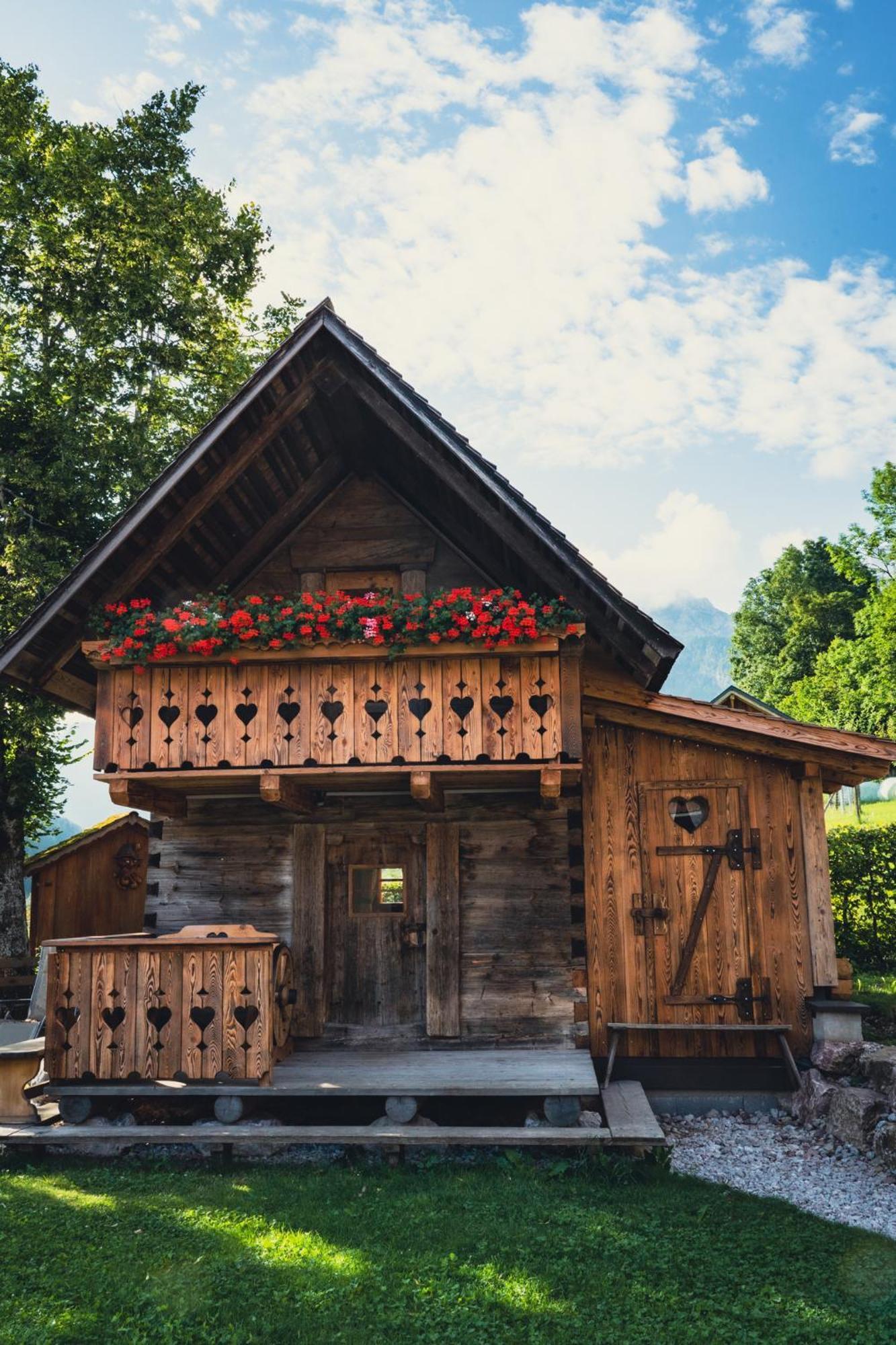 Singerskogel - Ferienhof Und Jausnstub'N Spital Am Pyhrn Zewnętrze zdjęcie