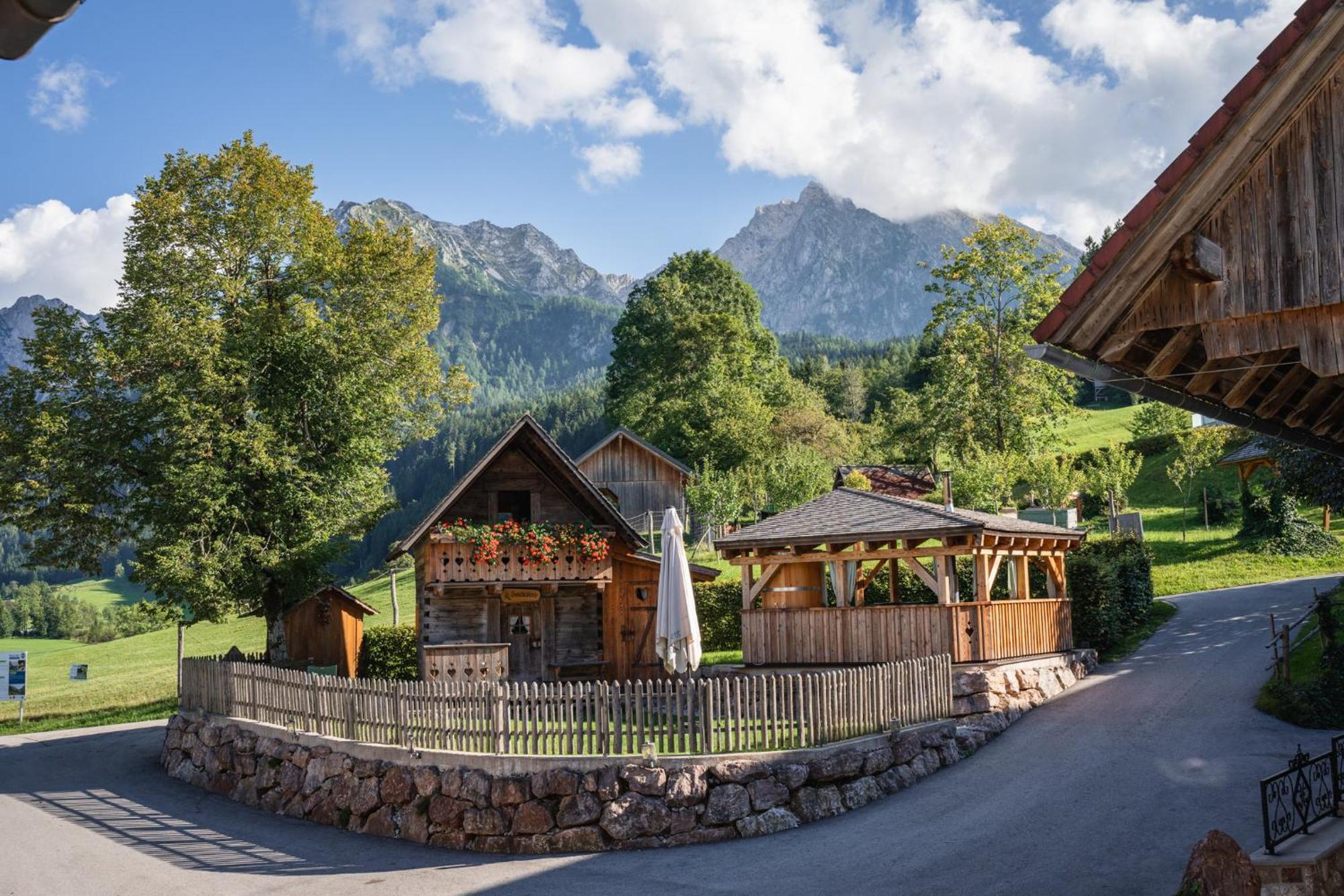 Singerskogel - Ferienhof Und Jausnstub'N Spital Am Pyhrn Zewnętrze zdjęcie