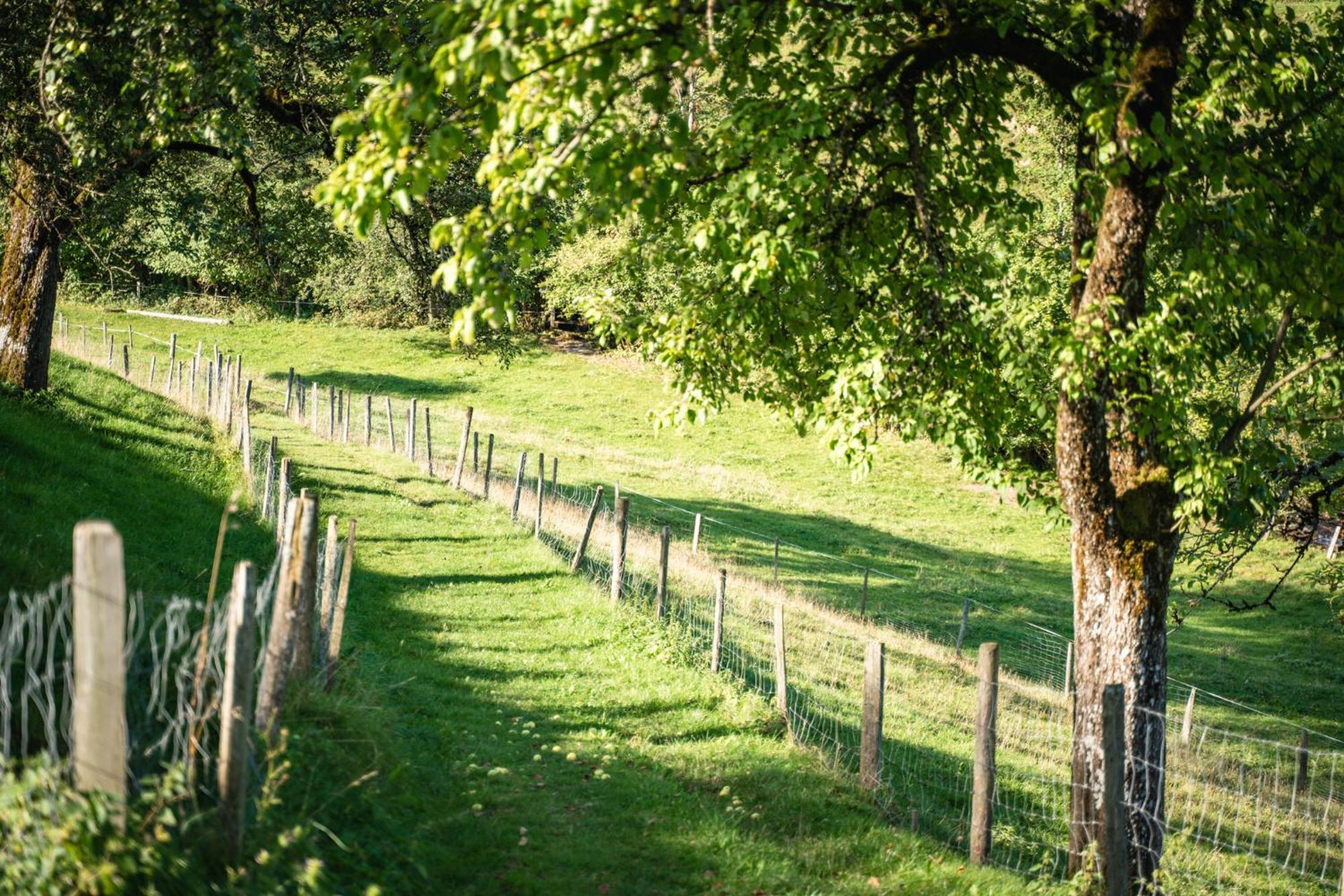 Singerskogel - Ferienhof Und Jausnstub'N Spital Am Pyhrn Zewnętrze zdjęcie