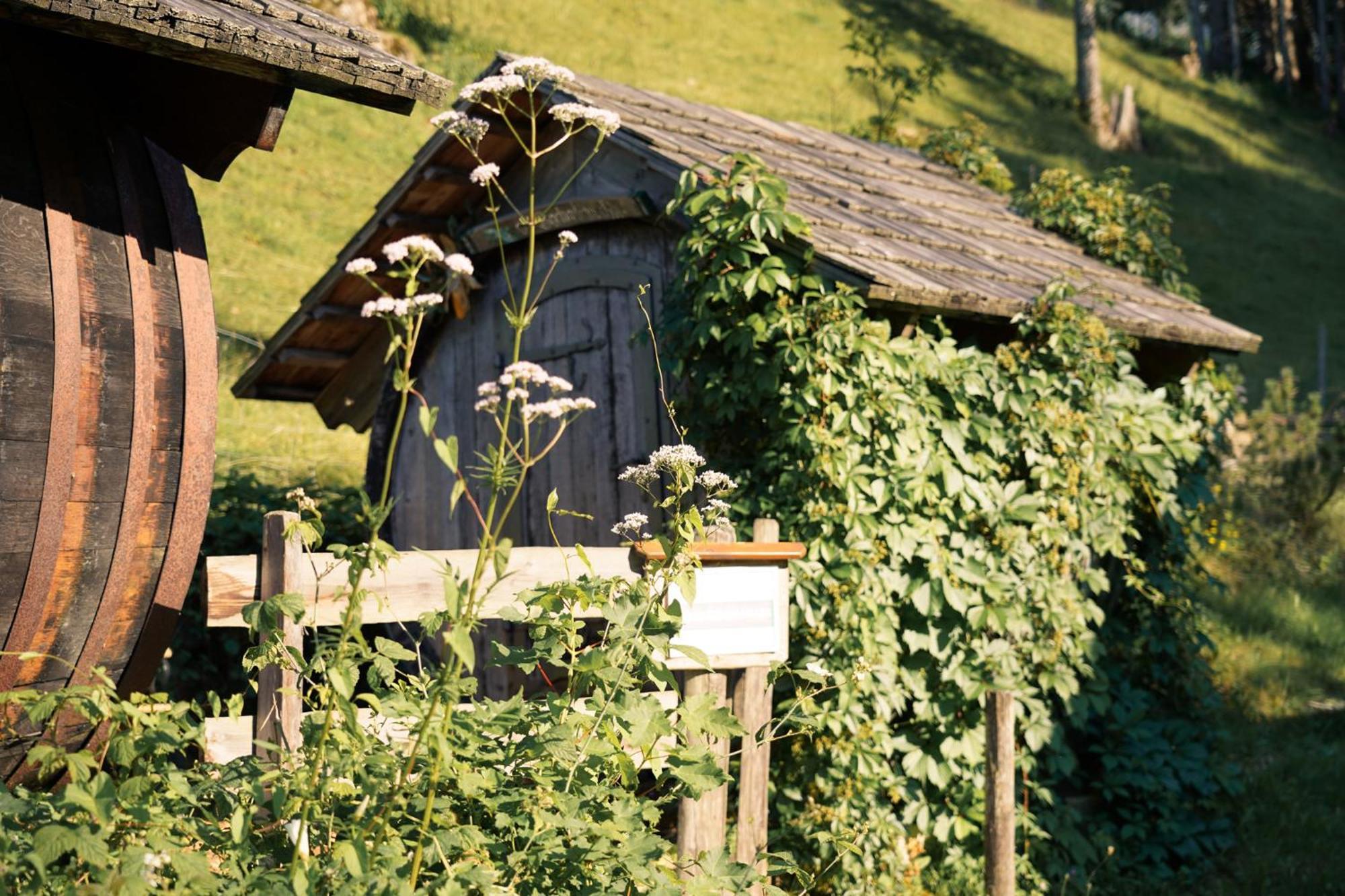Singerskogel - Ferienhof Und Jausnstub'N Spital Am Pyhrn Zewnętrze zdjęcie