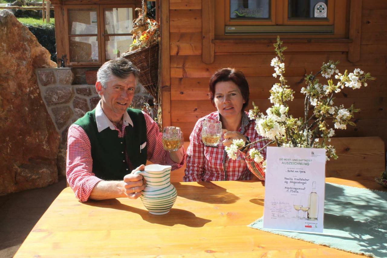 Singerskogel - Ferienhof Und Jausnstub'N Spital Am Pyhrn Zewnętrze zdjęcie